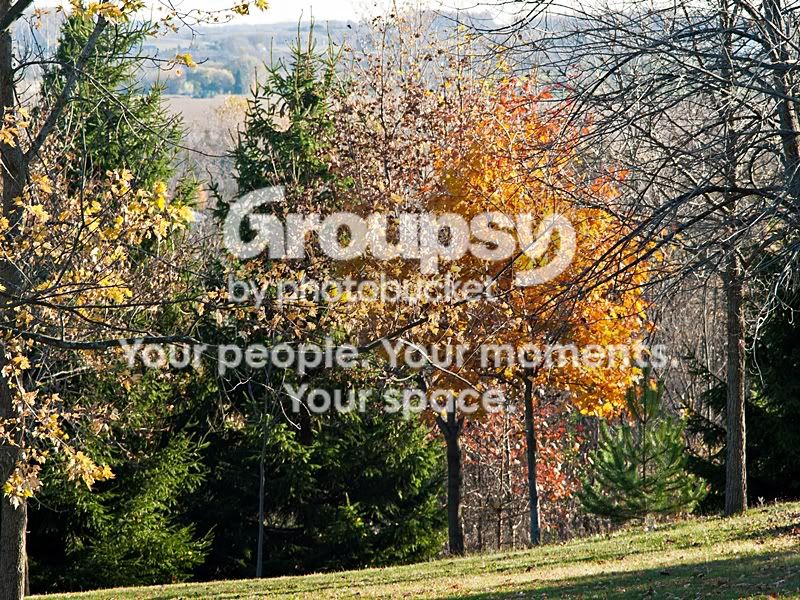 crop-1080505Sm.jpg