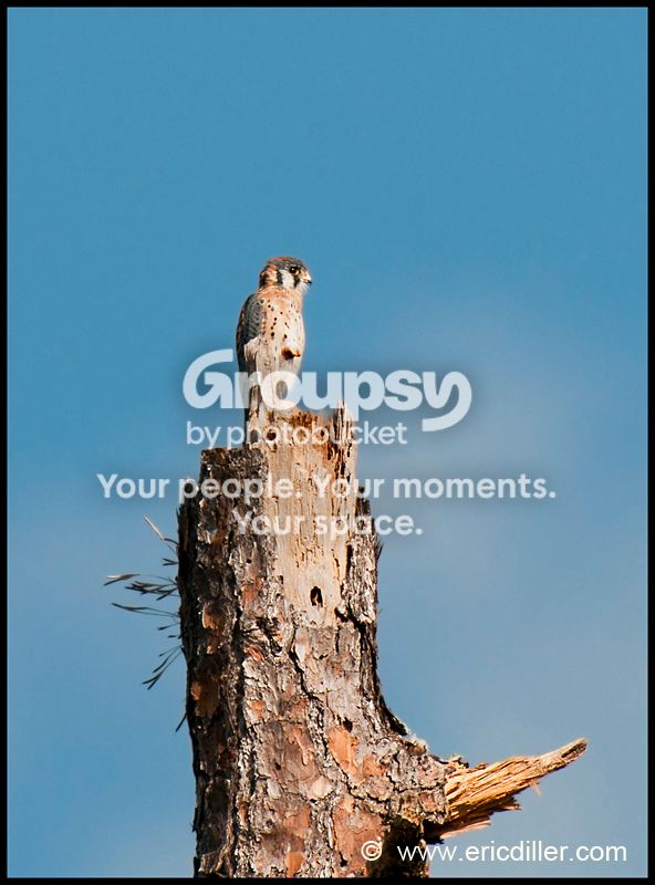 PIC_8579copycopy.jpg