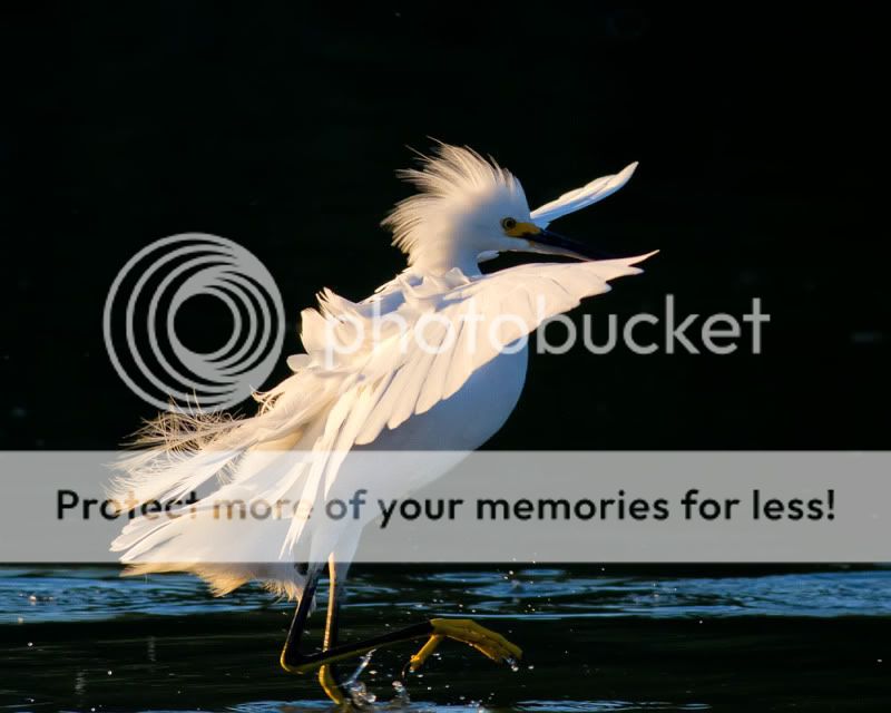 IMG_2447-Edit.jpg