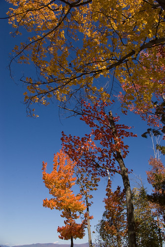 3550203254_eea6e96836.jpg