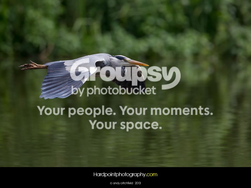 _HPP2220_zps6b98811b.jpg