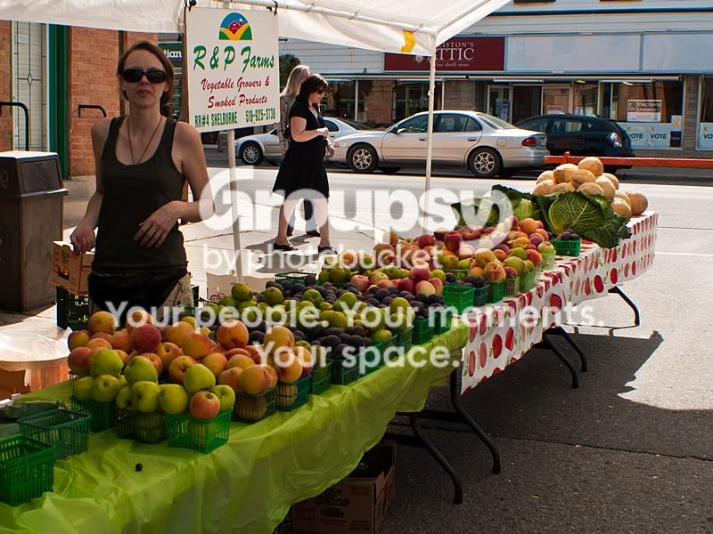 P1070884sm.jpg