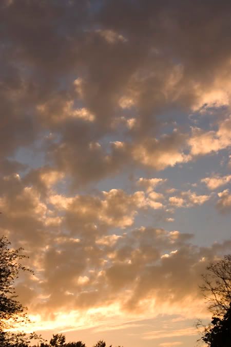 orangeclouds.jpg
