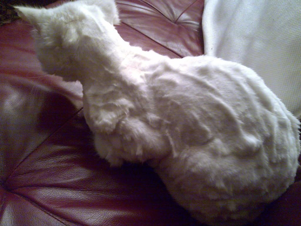 Bilde0442.jpg