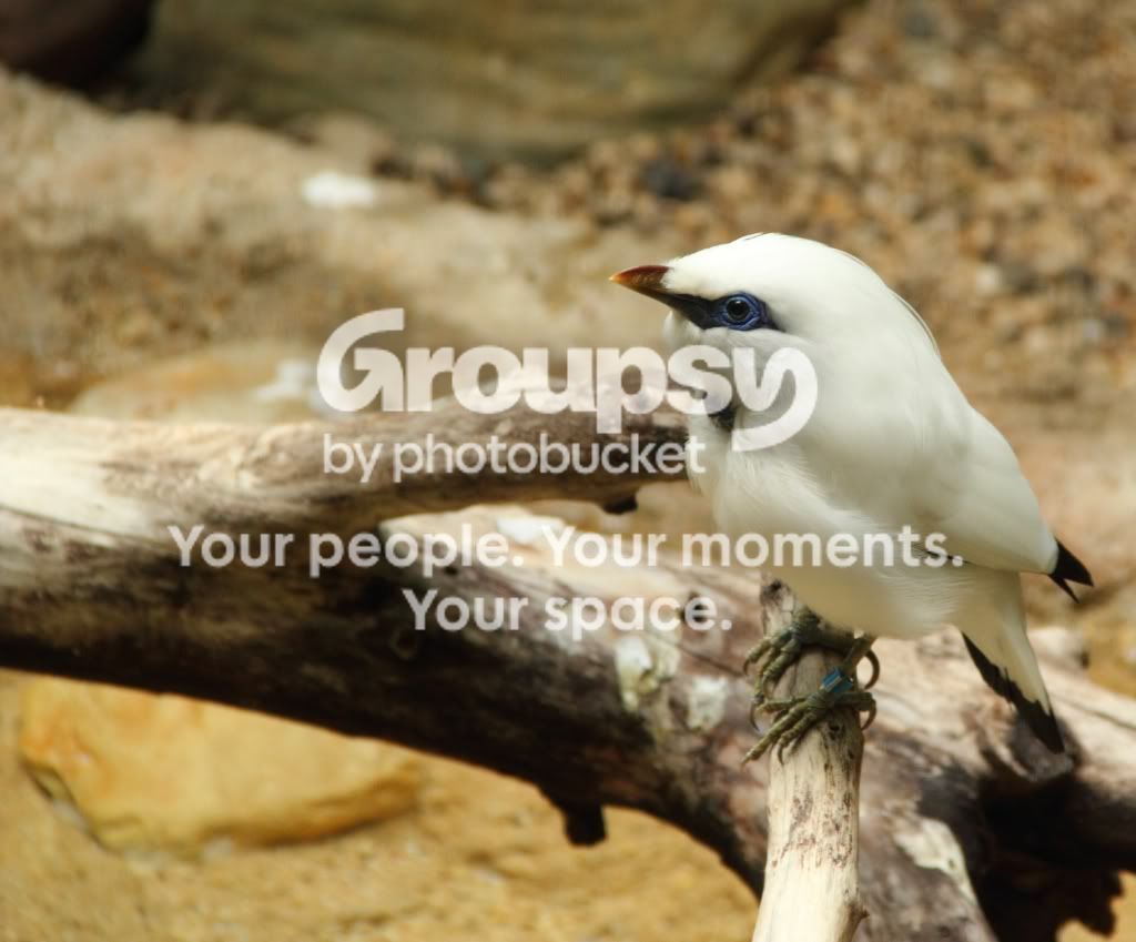 zoo-2.jpg
