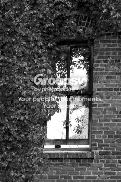 plany_window.jpg
