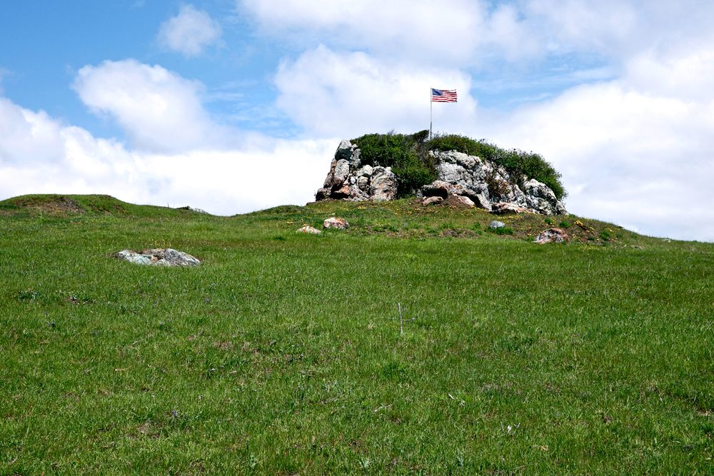 DSCF2665.jpg