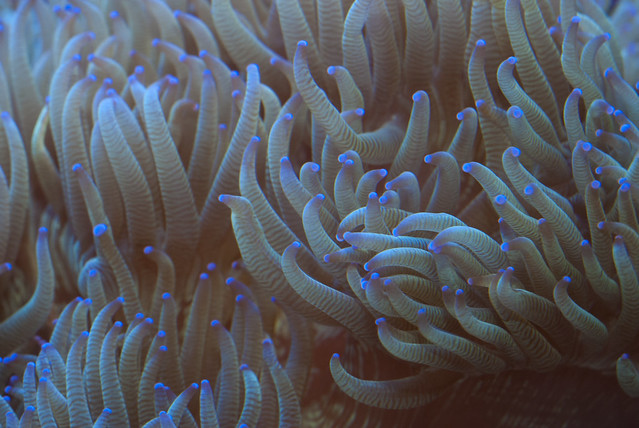 6086360811_42c3d7645b_z.jpg