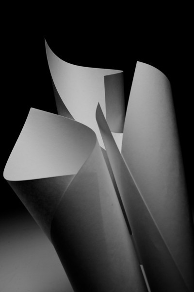 IMG4436-L.jpg