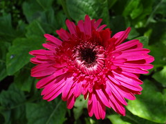 9318815870_c9883d556d_m.jpg