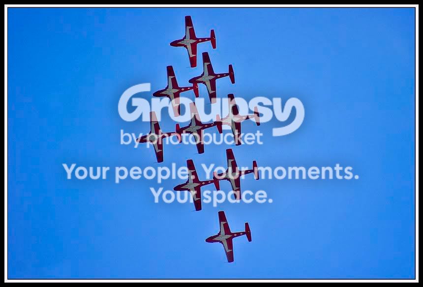 Snowbird1.jpg