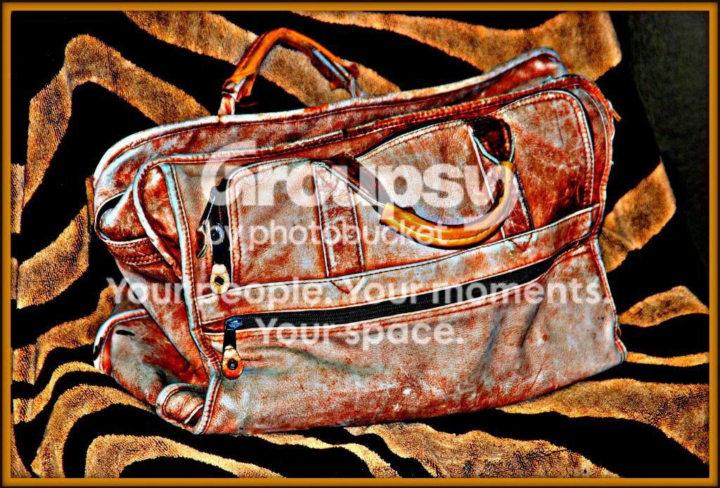 theleatherbag.jpg
