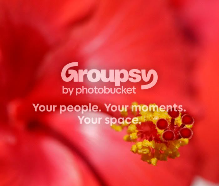 Red.jpg