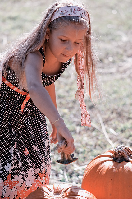 5090401421_1a81300ff6_z.jpg