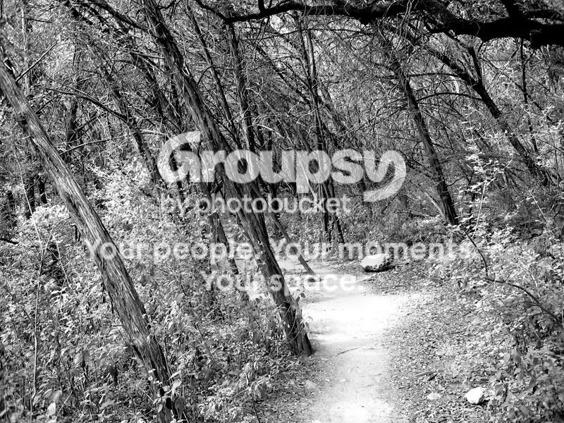 THEBEND.jpg