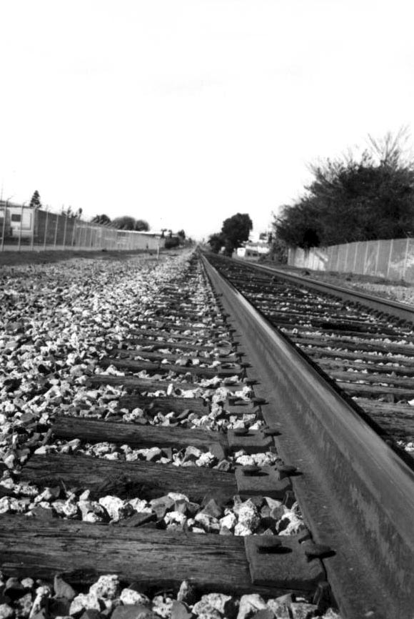 tracks.jpg