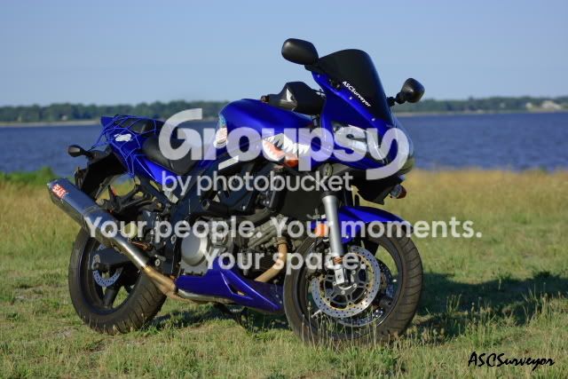 IMG_4536.jpg