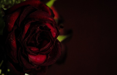 4387913688_295ab8f4c8.jpg