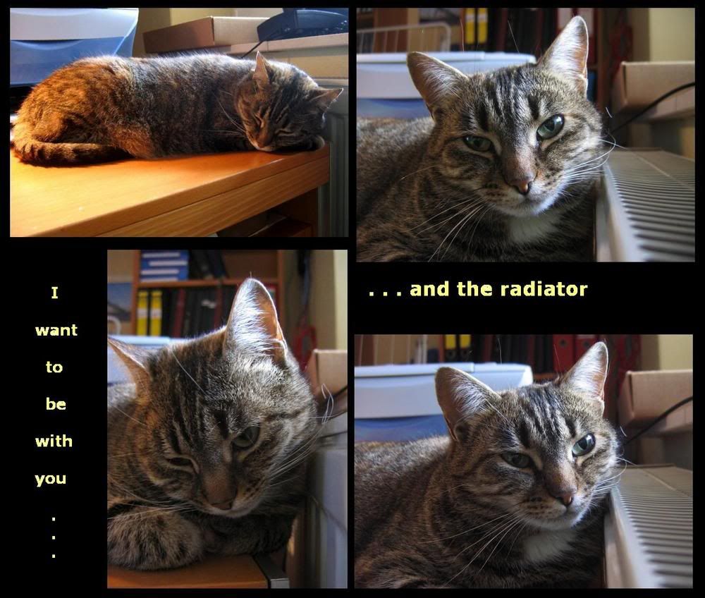 MiaAufSchreibtisch-Collage.jpg