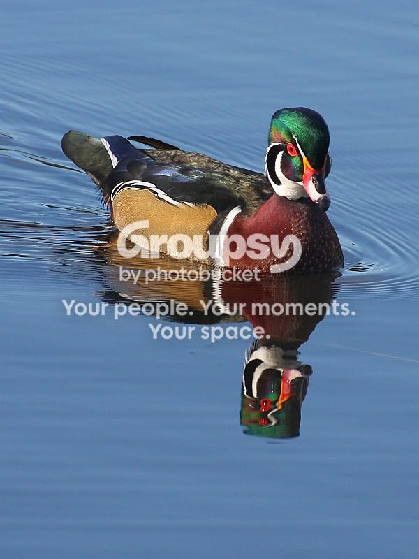 IMG_5001sm.jpg