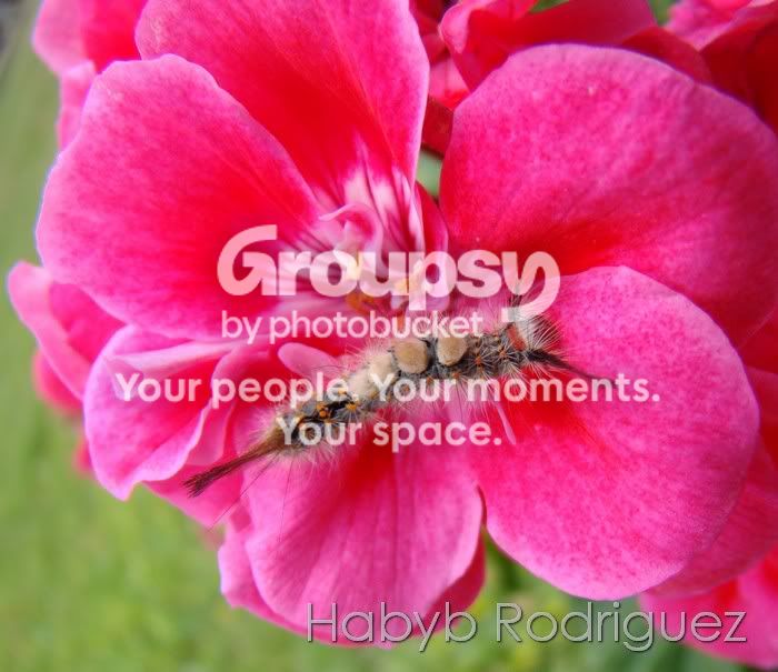 Image00003.jpg