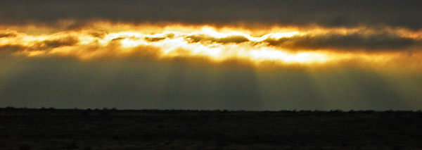 sunrays01.jpg