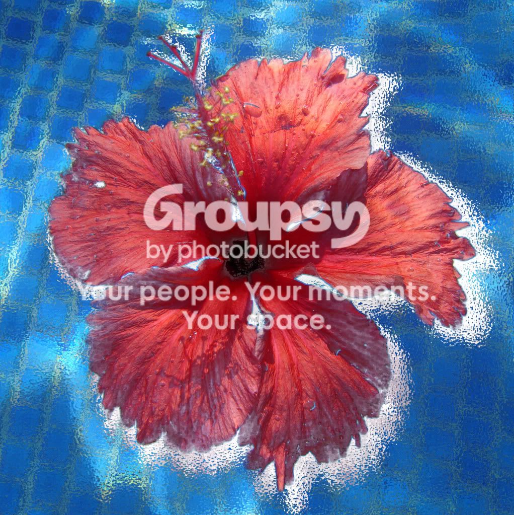 Flowercopy.jpg