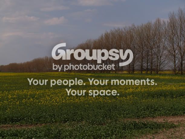 Field2.jpg