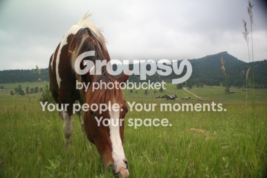 ImportedPhotos00011.jpg