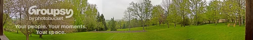 backyardsm.jpg