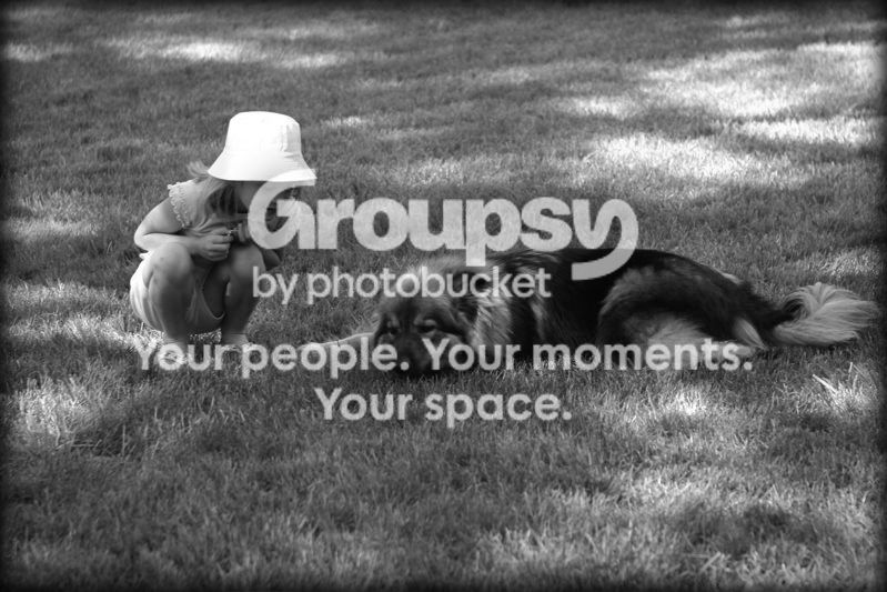 Image-225EBABAC9D911D8.jpg