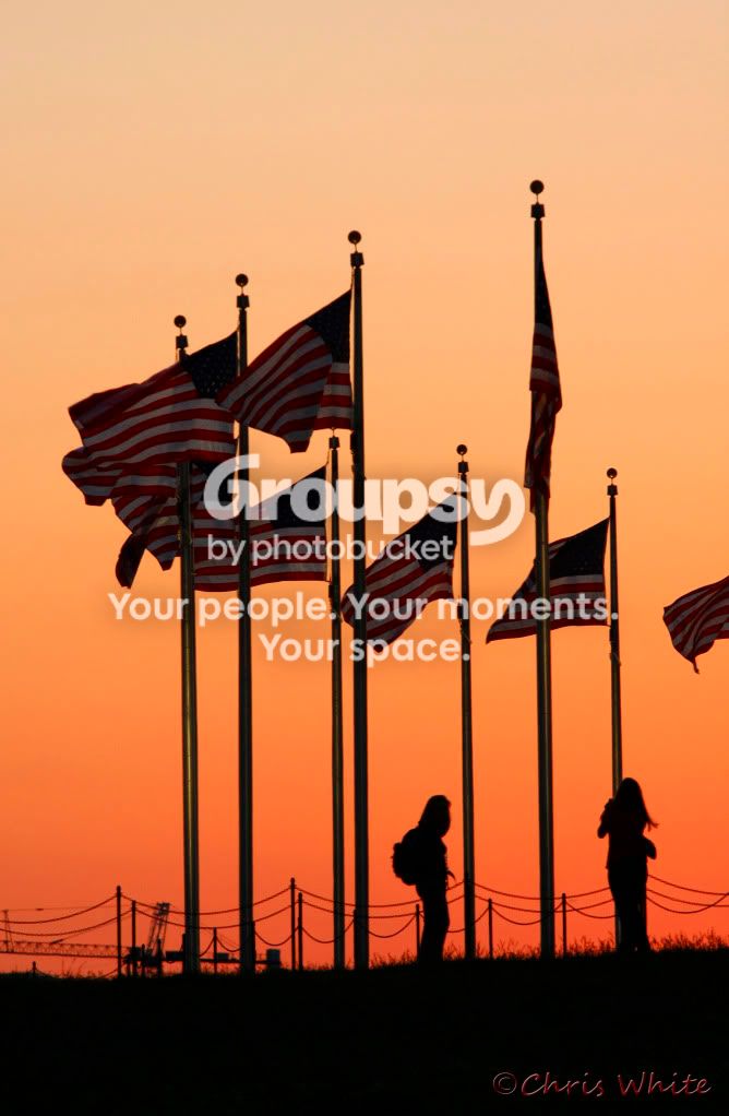 FLags.jpg
