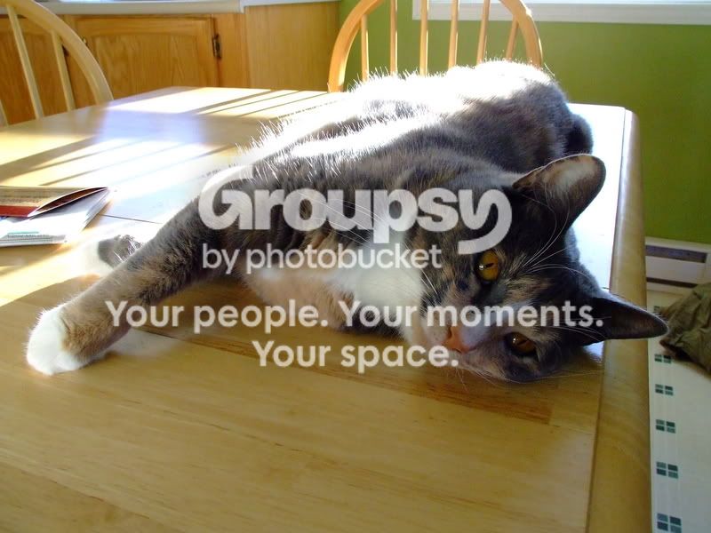 DSCF5388.jpg