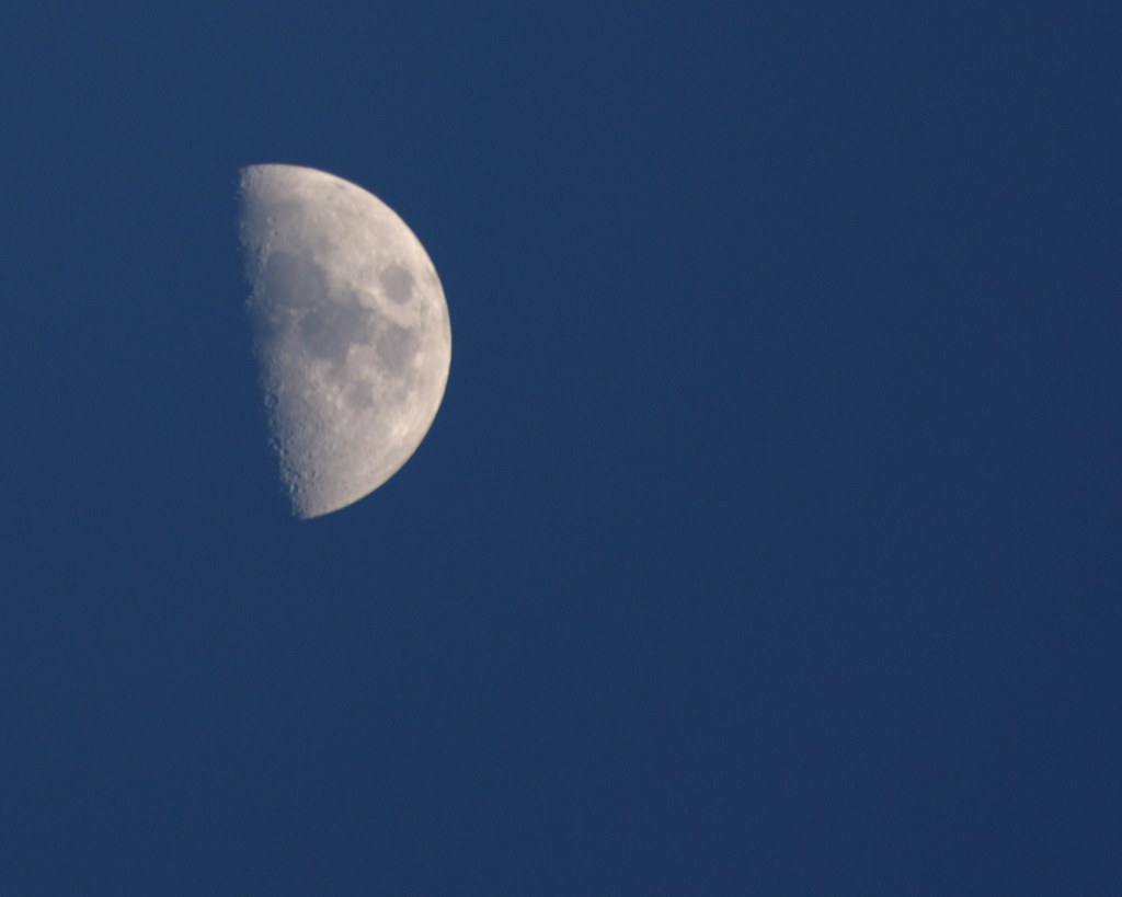 3680499740_df6172c116_b.jpg