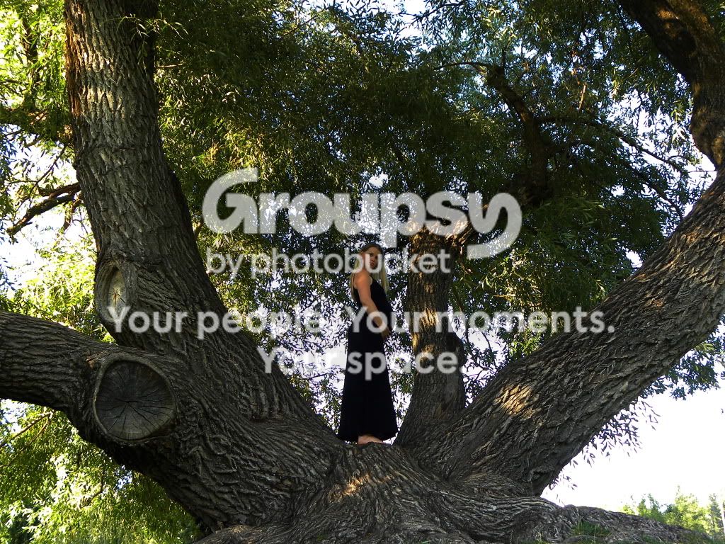 DSCN8418.jpg