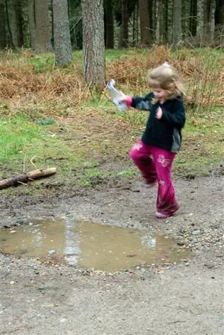 2ndPuddleJump3LargeSmall.jpg