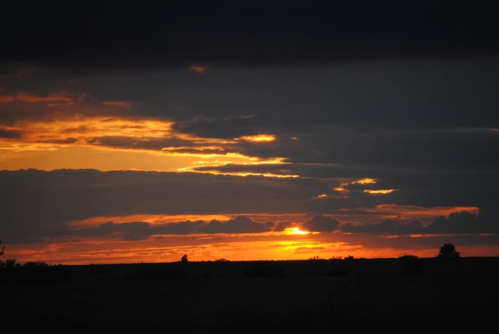 DSC_0487.jpg