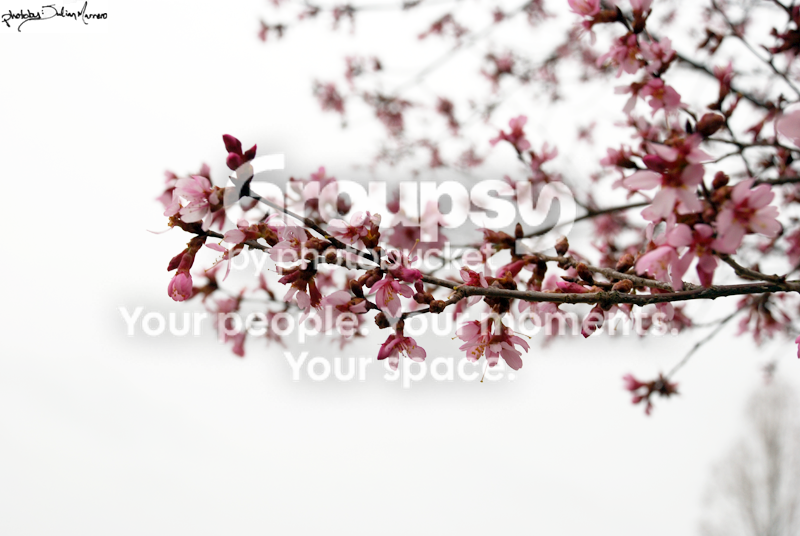 DSC_0117.png