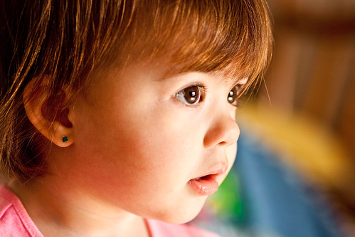 4106242167_cf5f20da08.jpg