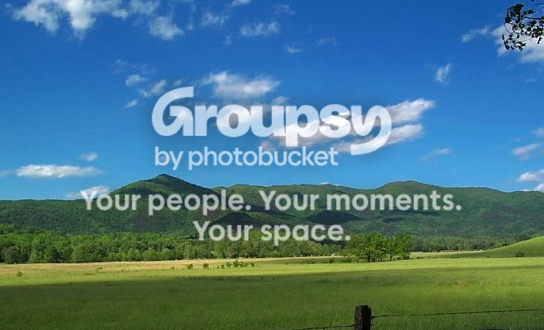 scenerypics003.jpg