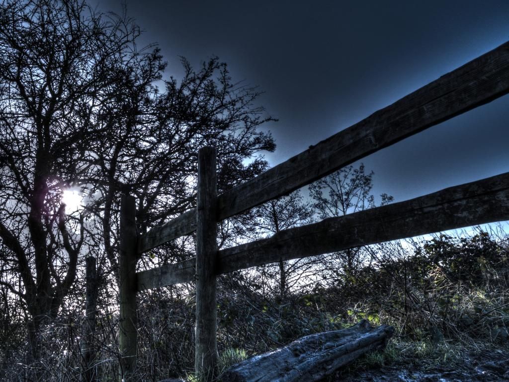 fence2A_zps9a28e40b.jpg