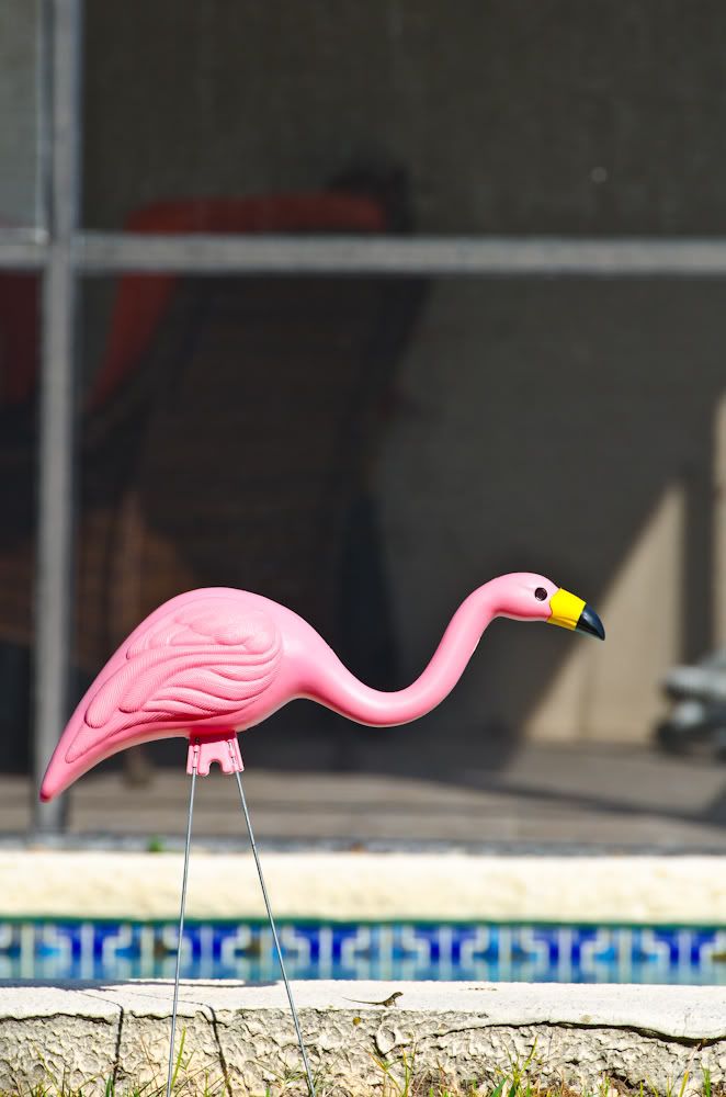 20110930-DSC_7389.jpg
