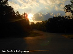 5980681880_f45fa16d1b_m.jpg