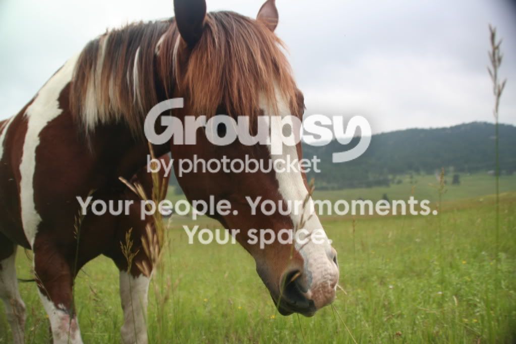 ImportedPhotos00010.jpg