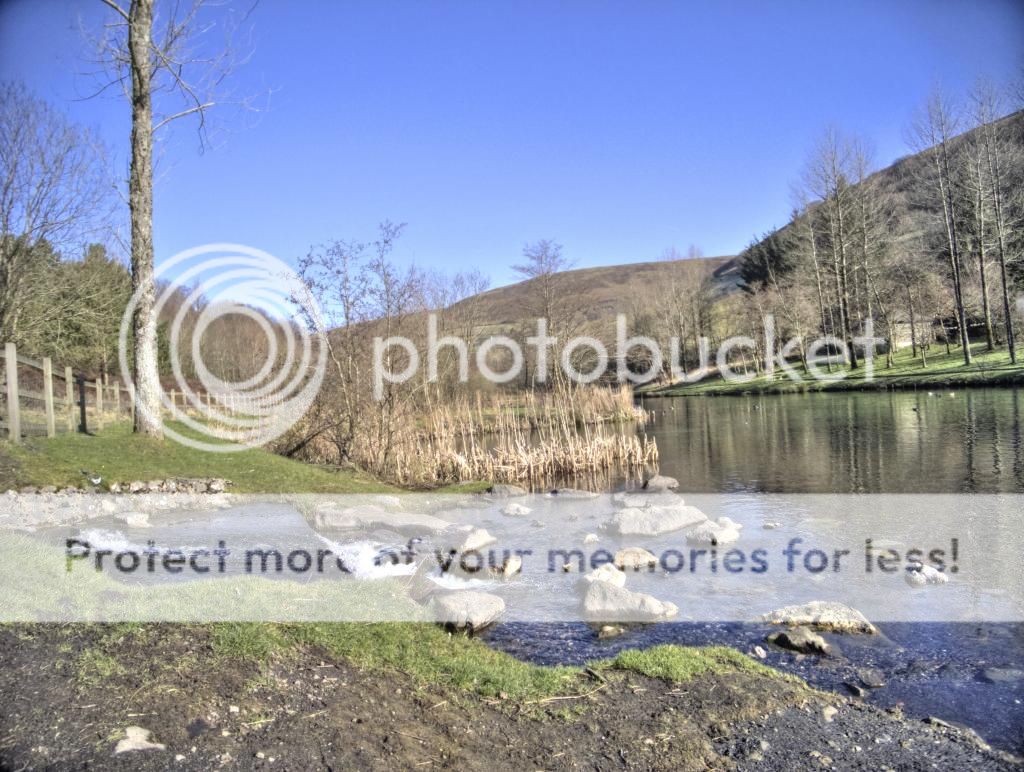 lake2.jpg