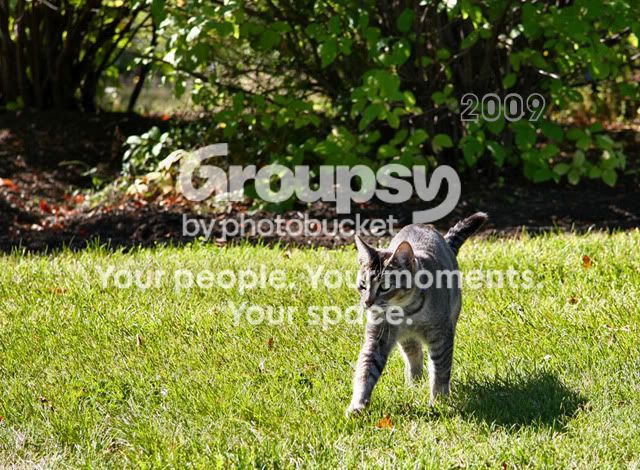 IMG_5698ccopy.jpg