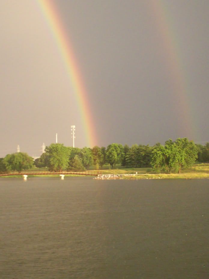 100_2685resized.jpg