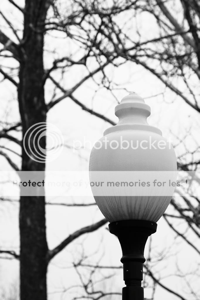 LightPost.jpg