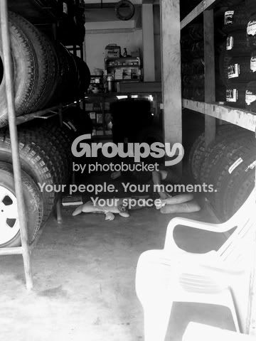 Picture482-1.jpg