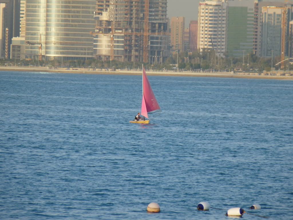 P1000838.jpg